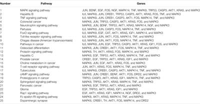 Krill Oil Alleviated Methamphetamine-Induced Memory Impairment via the MAPK Signaling Pathway and Dopaminergic Synapse Pathway